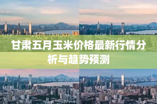 甘肃五月玉米价格最新行情分析与趋势预测