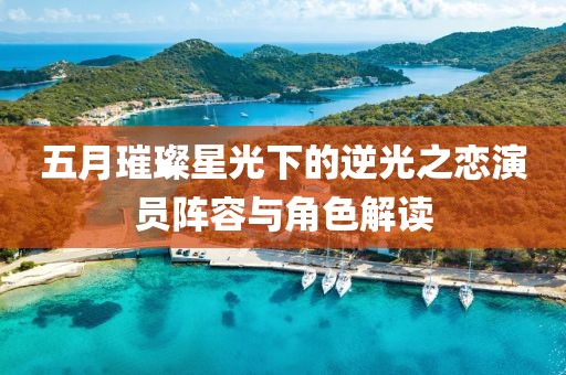 五月璀璨星光下的逆光之恋演员阵容与角色解读