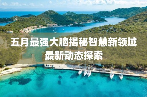 五月最强大脑揭秘智慧新领域最新动态探索