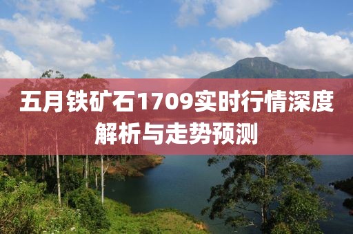 五月铁矿石1709实时行情深度解析与走势预测