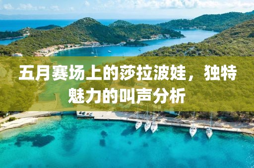 五月赛场上的莎拉波娃，独特魅力的叫声分析