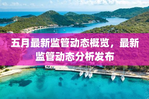 五月最新监管动态概览，最新监管动态分析发布