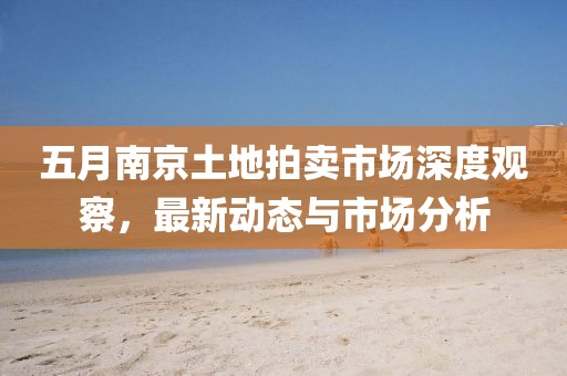 五月南京土地拍卖市场深度观察，最新动态与市场分析