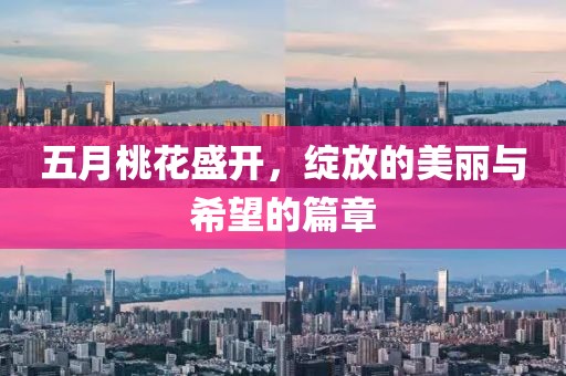 五月桃花盛开，绽放的美丽与希望的篇章