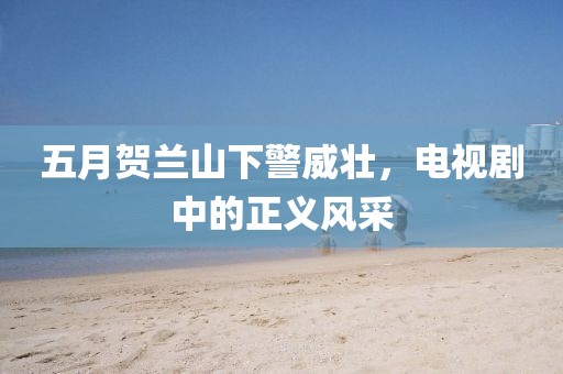 五月贺兰山下警威壮，电视剧中的正义风采