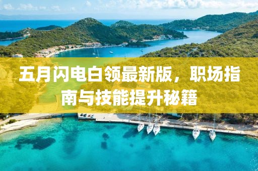 五月闪电白领最新版，职场指南与技能提升秘籍