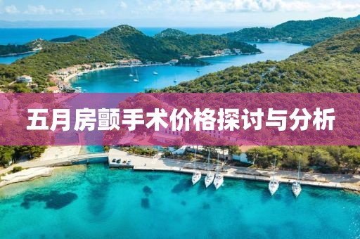五月房颤手术价格探讨与分析