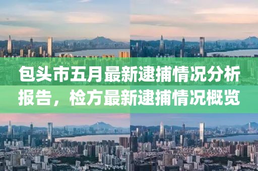 包头市五月最新逮捕情况分析报告，检方最新逮捕情况概览