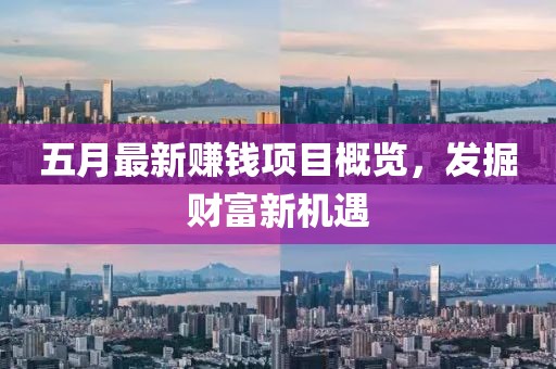 五月最新赚钱项目概览，发掘财富新机遇