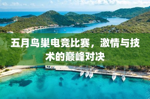 五月鸟巢电竞比赛，激情与技术的巅峰对决