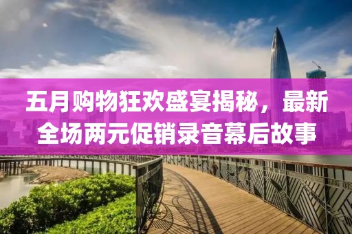 五月购物狂欢盛宴揭秘，最新全场两元促销录音幕后故事