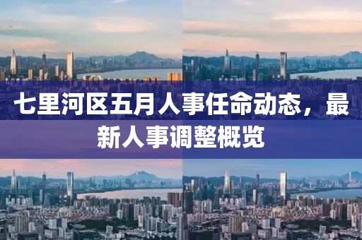 七里河区五月人事任命动态，最新人事调整概览