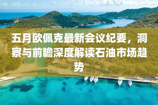 五月欧佩克最新会议纪要，洞察与前瞻深度解读石油市场趋势