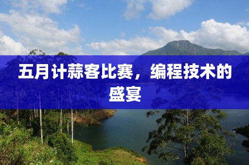 五月计蒜客比赛，编程技术的盛宴
