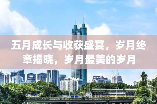 五月成长与收获盛宴，岁月终章揭晓，岁月最美的岁月