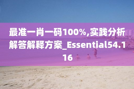 最准一肖一码100%,实践分析解答解释方案_Essential54.116