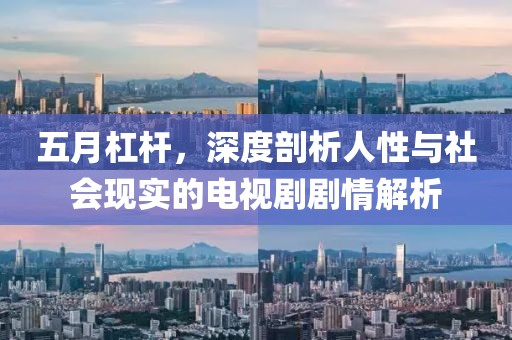 五月杠杆，深度剖析人性与社会现实的电视剧剧情解析