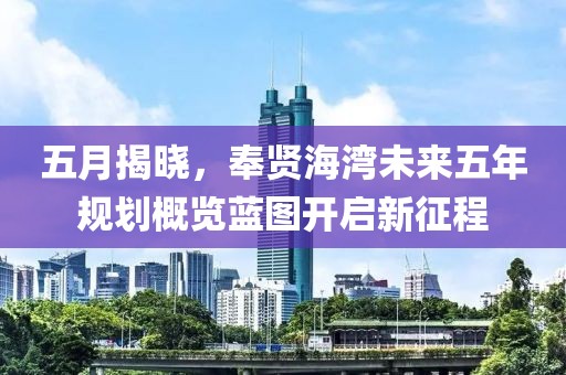 五月揭晓，奉贤海湾未来五年规划概览蓝图开启新征程