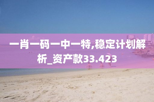 一肖一码一中一特,稳定计划解析_资产款33.423