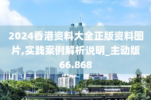 2024香港资料大全正版资料图片,实践案例解析说明_主动版66.868