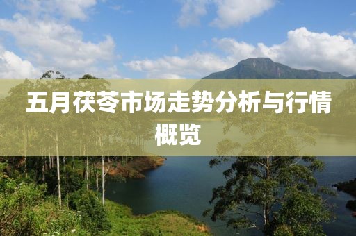 五月茯苓市场走势分析与行情概览
