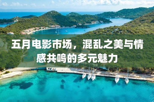 五月电影市场，混乱之美与情感共鸣的多元魅力