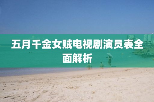 五月千金女贼电视剧演员表全面解析