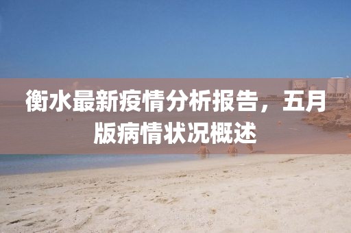衡水最新疫情分析报告，五月版病情状况概述