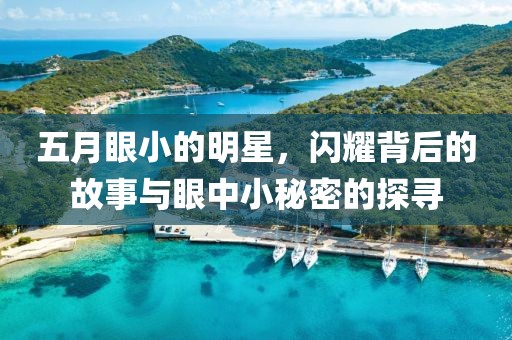 五月眼小的明星，闪耀背后的故事与眼中小秘密的探寻