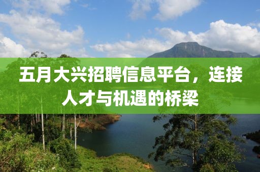 五月大兴招聘信息平台，连接人才与机遇的桥梁