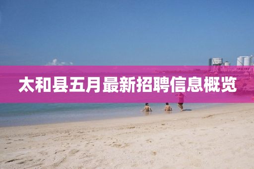 太和县五月最新招聘信息概览