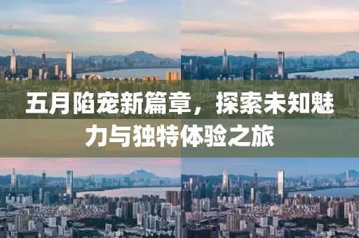 五月陷宠新篇章，探索未知魅力与独特体验之旅