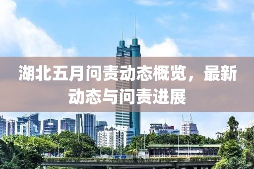湖北五月问责动态概览，最新动态与问责进展