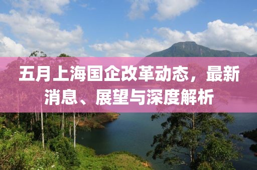 五月上海国企改革动态，最新消息、展望与深度解析