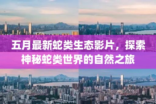 五月最新蛇类生态影片，探索神秘蛇类世界的自然之旅