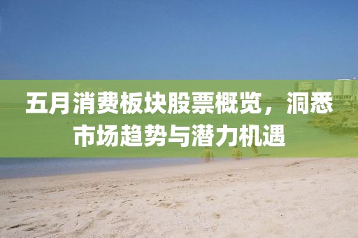 五月消费板块股票概览，洞悉市场趋势与潜力机遇