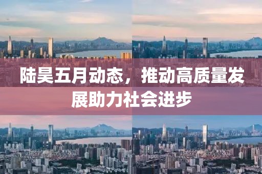 陆昊五月动态，推动高质量发展助力社会进步