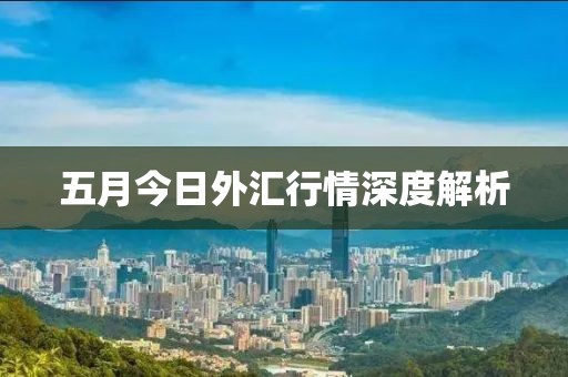 五月今日外汇行情深度解析