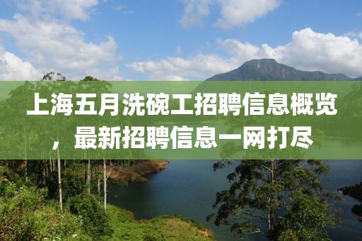 上海五月洗碗工招聘信息概览，最新招聘信息一网打尽