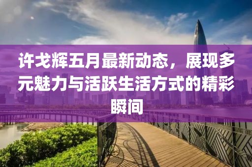 许戈辉五月最新动态，展现多元魅力与活跃生活方式的精彩瞬间