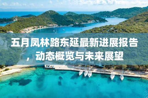 五月凤林路东延最新进展报告，动态概览与未来展望