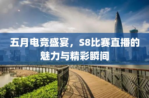 五月电竞盛宴，S8比赛直播的魅力与精彩瞬间