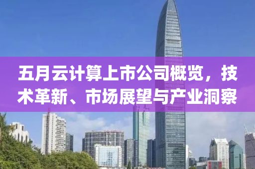 五月云计算上市公司概览，技术革新、市场展望与产业洞察