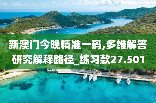 新澳门今晚精准一码,多维解答研究解释路径_练习款27.501