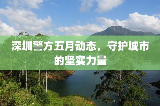 深圳警方五月动态，守护城市的坚实力量