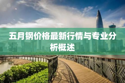五月钢价格最新行情与专业分析概述