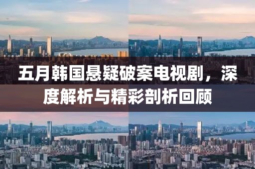 五月韩国悬疑破案电视剧，深度解析与精彩剖析回顾