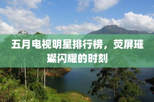 五月电视明星排行榜，荧屏璀璨闪耀的时刻