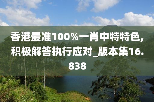 香港最准100%一肖中特特色,积极解答执行应对_版本集16.838