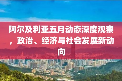 阿尔及利亚五月动态深度观察，政治、经济与社会发展新动向